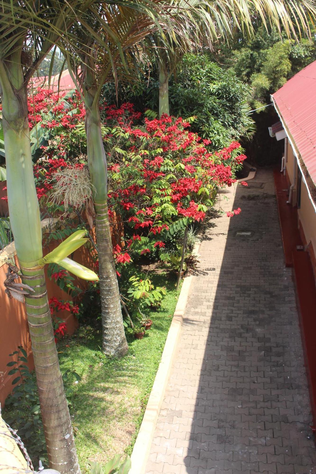 Montane Safaris Hotel Fort Portal Buitenkant foto